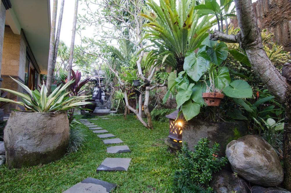 Nesanur *